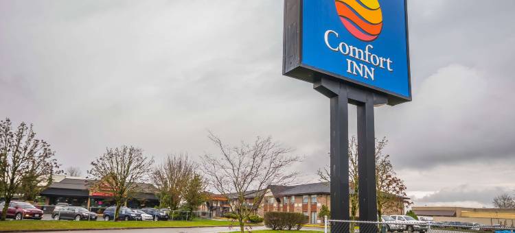 舒适酒店(Comfort Inn)图片