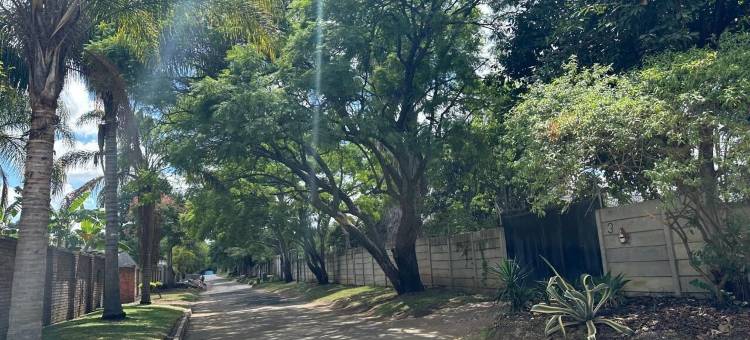 戈申溪旅馆(Goshen Creek Guesthouse)图片