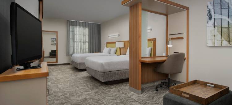 塔斯卡卢萨SpringHill套房酒店(SpringHill Suites Tuscaloosa)图片