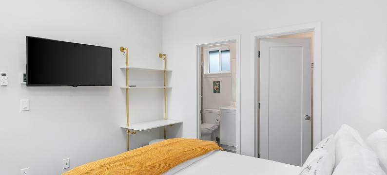 尤达的沼泽套房(Yoda's Swamp Suite)图片