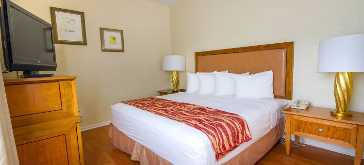 南迈阿密-科勒尔盖布尔斯罗德威旅馆(Rodeway Inn South Miami - Coral Gables)图片