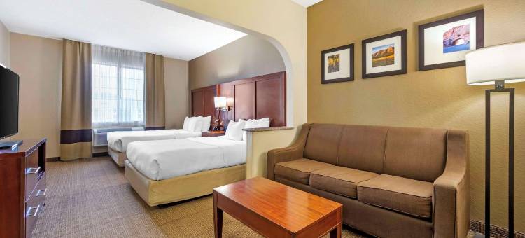 舒适套房酒店(Comfort Suites)图片