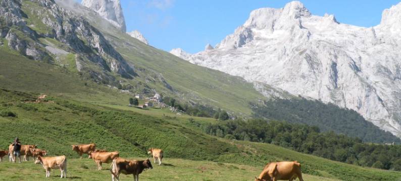 阿尔伯格艾斯特享旅舍(Albergue la Estación)图片