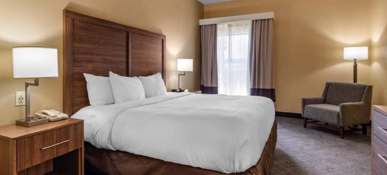 斯通山舒适套房酒店(Comfort Inn & Suites at Stone Mountain)图片