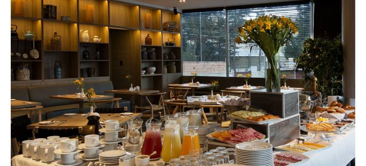 卡萨格兰德套房酒店(Casa Grande Suites)图片