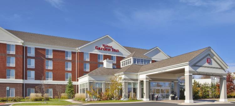 底特律诺维希尔顿花园客栈(HIlton Garden Inn Detroit/Novi)图片