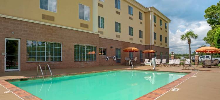 舒适套房酒店(Comfort Suites)图片