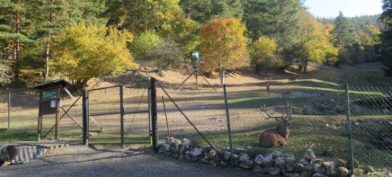 豪斯索内瓦尔德酒店 - 家庭鲁赫(Haus Sonnenwalde - Familie Ruhe)图片