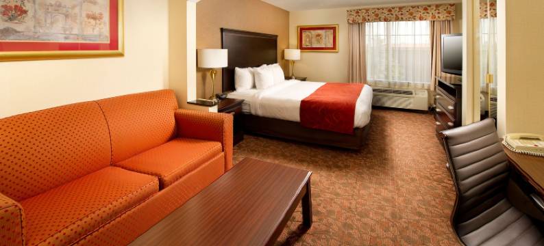 达勒斯机场舒适套房酒店(Comfort Suites Dulles Airport)图片