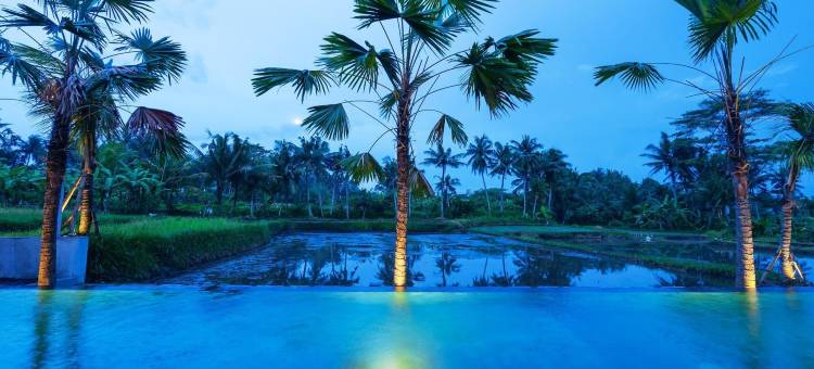 乌布纳亚卡生活酒店(Nayaka Living Ubud)图片