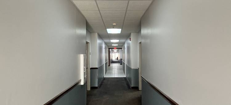 斯普林菲尔德舒适酒店及套房(Springfield Inn)图片