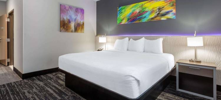 麦迪逊美吟温德姆套房酒店(Baymont Inn & Suites by Wyndham Madison)图片