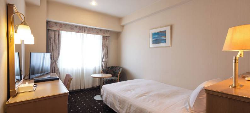 阿尔扎泉大津市埃尔斯特湖酒店(Hotel Lake Alster Alza Izumiotsu)图片