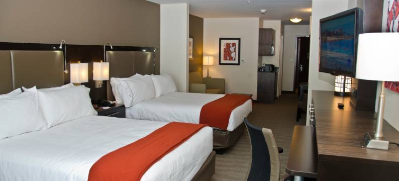 智选假日套房酒店哥伦布 - 伊斯顿(Holiday Inn Express & Suites COLUMBUS - EASTON AREA by IHG)图片