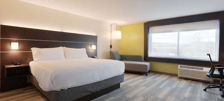 奥尼昂塔智选假日酒店(Holiday Inn Express ONEONTA by IHG)图片