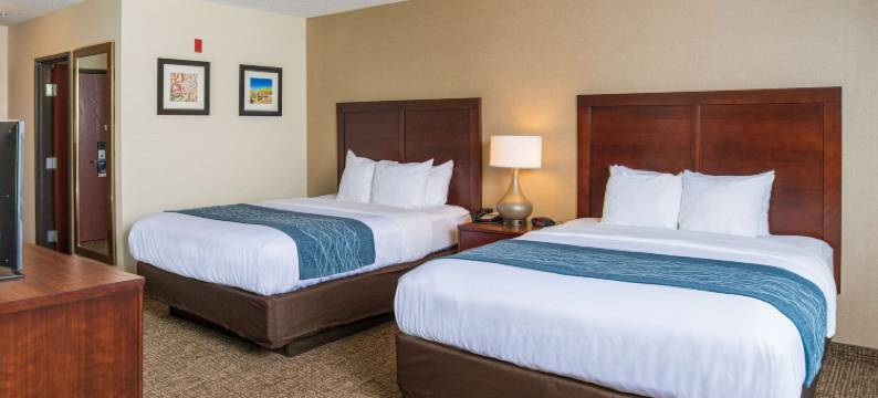 康乃迪克诺格塔克谢尔顿舒适酒店(Comfort Inn Naugatuck-Shelton, CT)图片