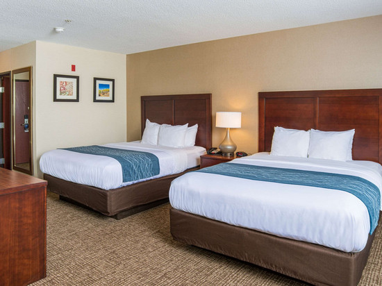 康乃迪克诺格塔克谢尔顿舒适酒店