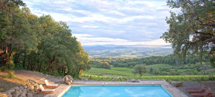 瓦尔朵尼卡酒厂葡萄园别墅酒店(Valdonica Winery Fine Dine & Wine Hotel)图片