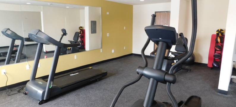 罗切斯特医城Birch Hill套房(Birch Hill Suites Rochester - Med City)图片