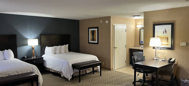 巴斯托欢朋套房酒店(Hampton Inn & Suites Barstow)图片