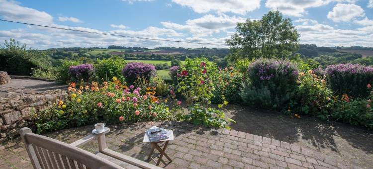 旧乳业巴顿主教住宿加早餐旅馆(The Old Dairy at Bishops Barton)图片