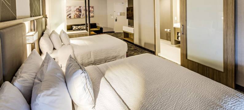 代顿北SpringHill Suites酒店(SpringHill Suites Dayton Vandalia)图片