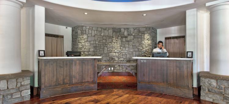 洛思加图斯酒店(Hotel Los Gatos)图片