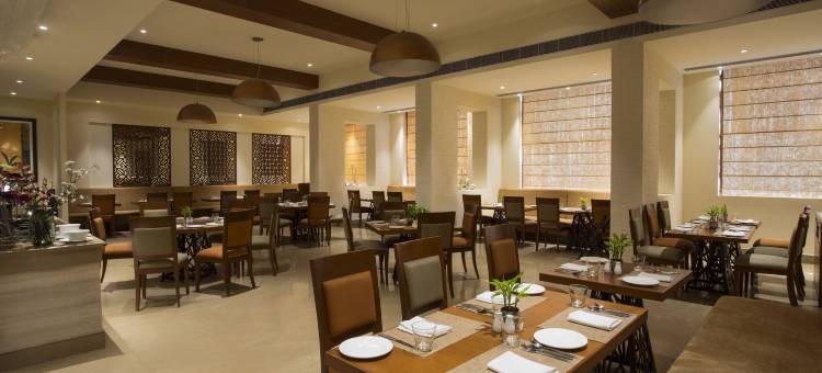 赖布尔辛哈尼亚萨罗瓦门廊酒店(Singhania Sarovar Portico)图片