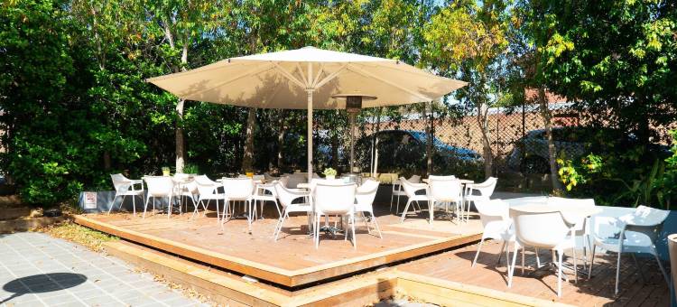 马与赛马酒店(Horse and Jockey Hotel Homebush)图片