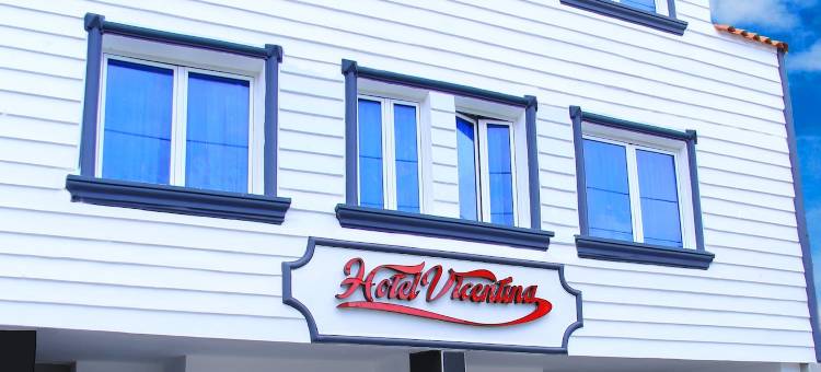 维森蒂娜RD酒店(Hotel Vicentina)图片