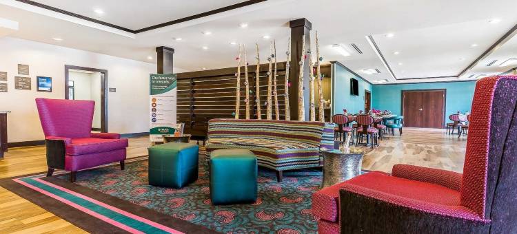 纽卡斯尔俄克拉荷马城舒适酒店(Comfort Inn & Suites Newcastle - Oklahoma City)图片