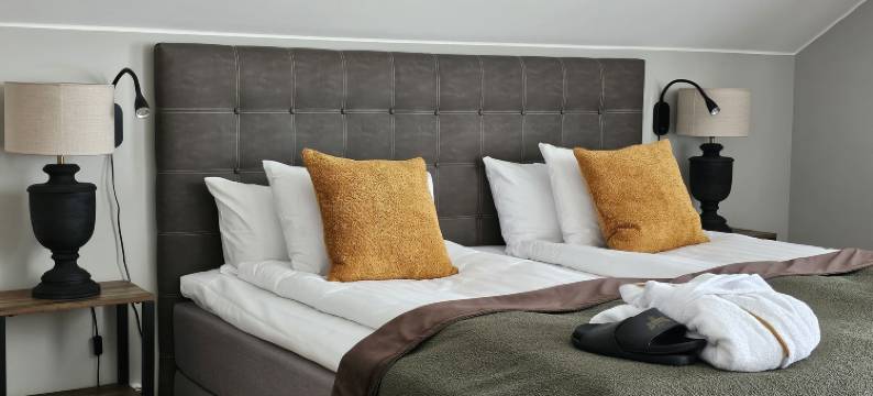 斯康森酒店(Hotel Skansen)图片