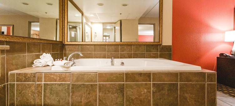 普利茅斯温德姆华美达酒店及会议中心(Ramada by Wyndham Plymouth Hotel & Conference Center)图片