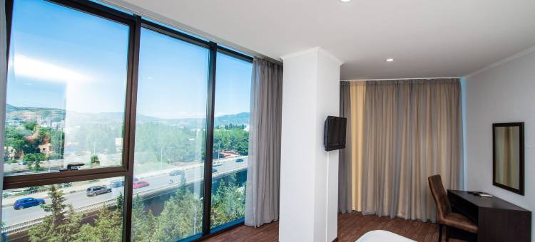 闪耀宫酒店(Hotel Shine Palace)图片