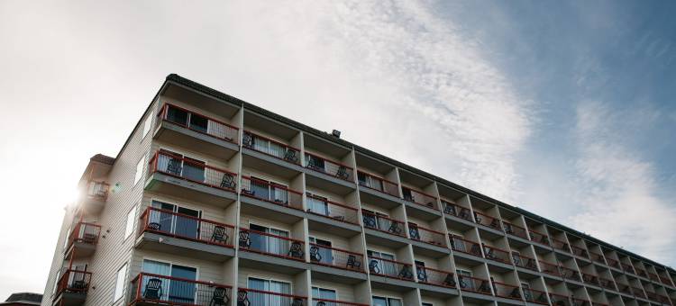 林肯城瑟芙泰兹酒店(Surftides Hotel)图片