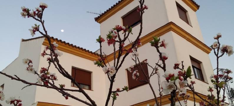 拉普拉塔乡村青年旅舍(Hostal Rural la Plata)图片