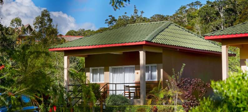 安达西贝狐猴旅馆(Andasibe Lemurs Lodge)图片