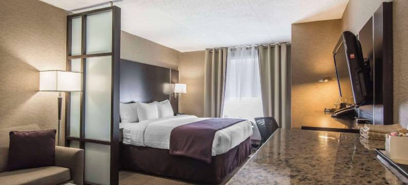 夸特洛酒店及会议中心 - 阿桑德连锁酒店(Quattro Hotel & Conf Centre, Ascend Hotel Collection)图片