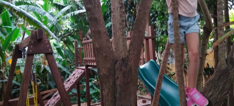 街灯酒店(Hotel Las Farolas)图片