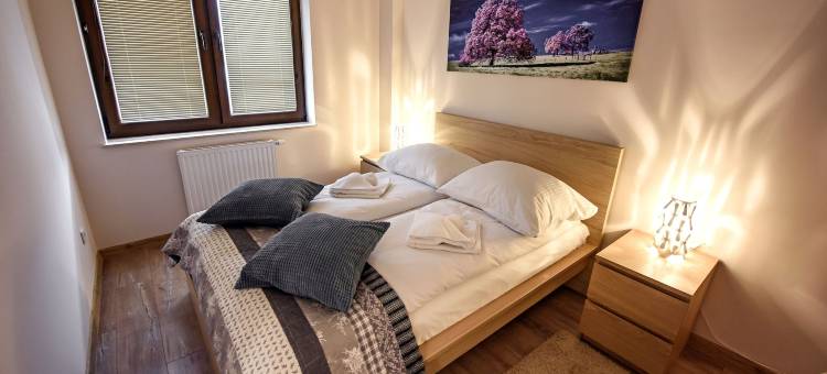 绿德鲁伊阳光和雪公寓酒店(Zielony Zdrój, Sun & Snow)图片