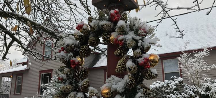 阿登森林旅馆(Arden Forest Inn)图片