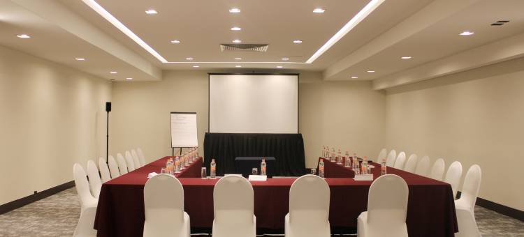 Holiday Inn 墨西哥城大理机场(Holiday Inn Mexico Dali Airport)图片