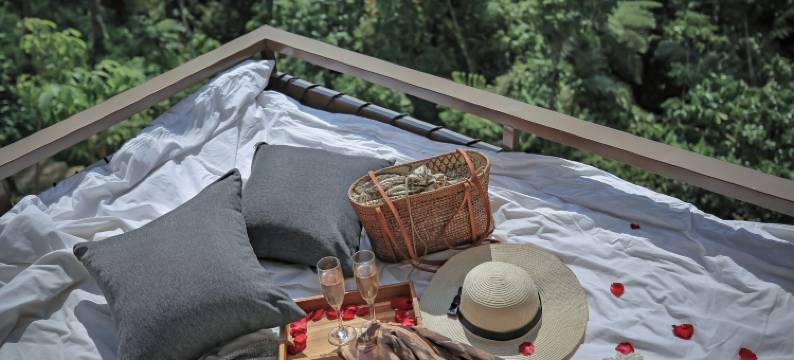 哈尔萨庇护所(由 Genuine Host 提供)(Harsa Sanctuary by GenuineHost)图片