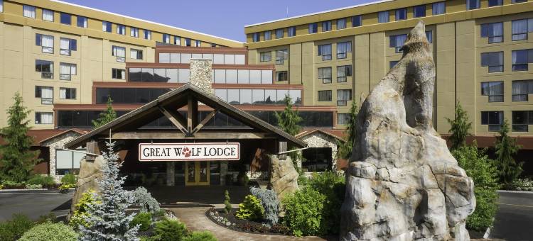 波士顿菲奇堡马大狼小屋(Great Wolf Lodge New England)图片