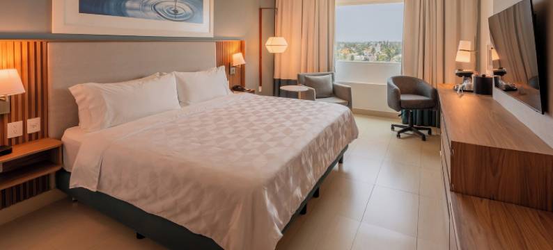 阿卡普尔科拉岛假日酒店(Holiday Inn Acapulco la Isla, an IHG Hotel)图片