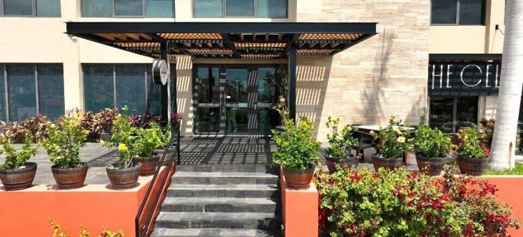 卡波之阳酒店(Gamma Los Cabos)图片