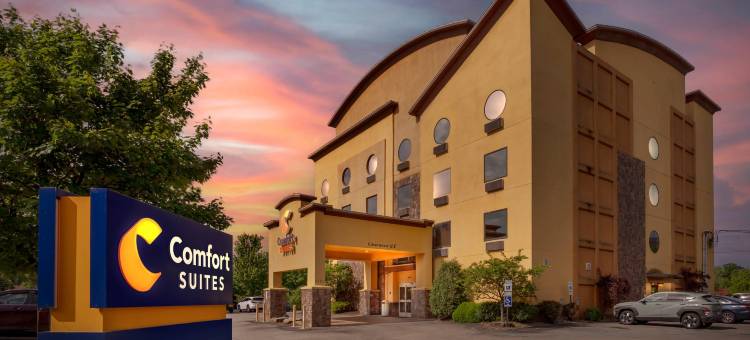 舒适套房酒店(Comfort Suites)图片