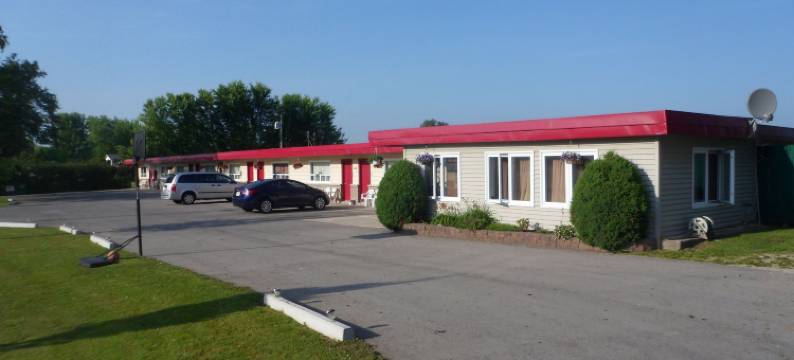 银桦树汽车旅馆(The Silver Birch Motel)图片