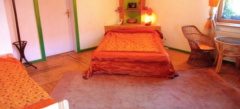 里奇托夫酒店和咖啡厅(Gastehaus Und Cafe - Lichthof)图片