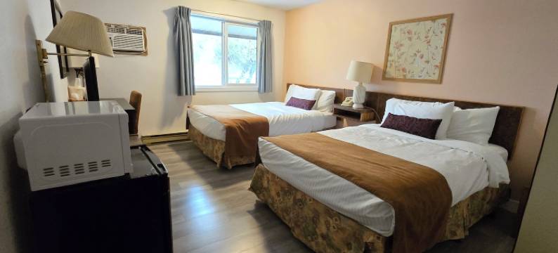 瑞士乡村旅馆(Swiss Village Inn)图片